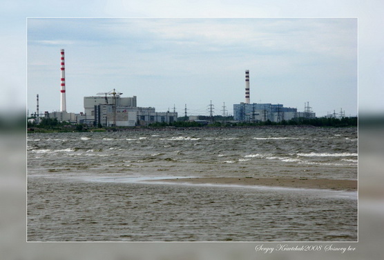 Сосновый бор. День очистки водоемов. Сосновый бор. День очистки водоемов.