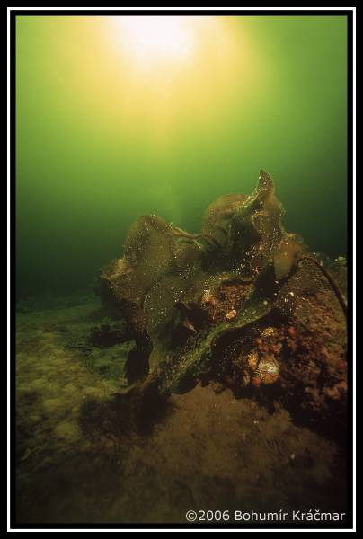 Bohumir Kracmar. Bohumir Kracmar.