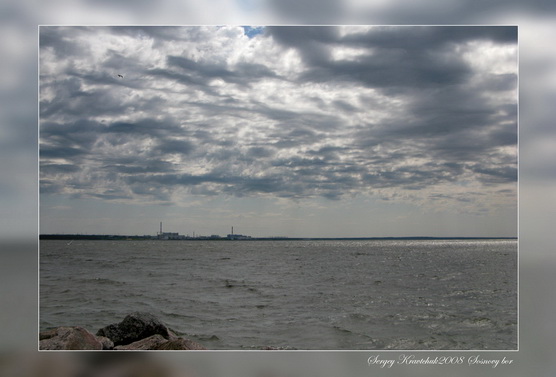 Сосновый бор. День очистки водоемов. Сосновый бор. День очистки водоемов.