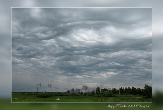 Сосновый бор. День очистки водоемов. Сосновый бор. День очистки водоемов.