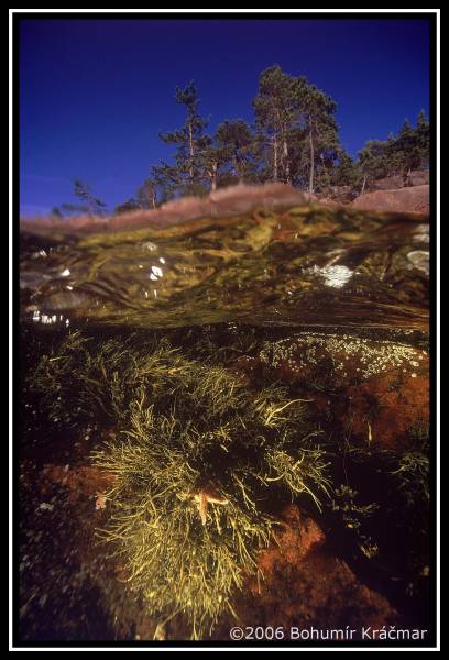 Bohumir Kracmar. Bohumir Kracmar.