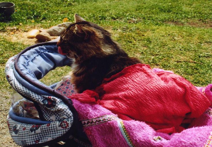 Карелия 21-22 июня Карелия 21-22 июня