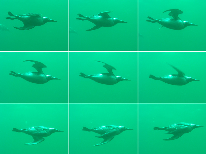 "Глубокий полёт 2" "Глубокий полёт 2"