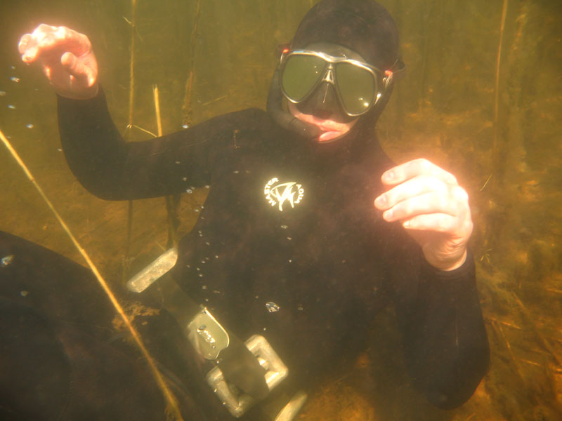 Копанское 2008 Копанское 2008