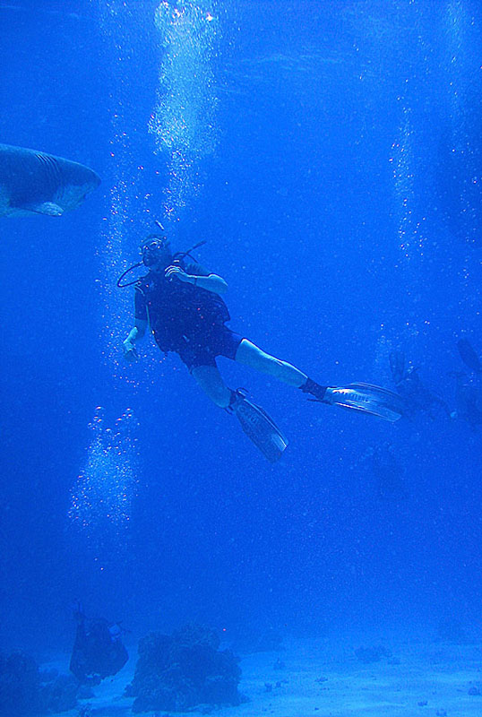 Хургада в июле 2008 г. Хургада в июле 2008 г.