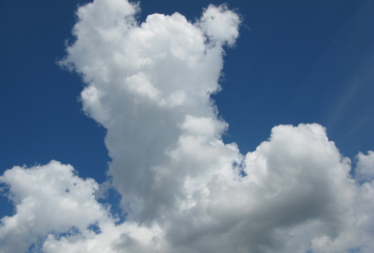 PRODIVING CLUB CMAS** практическое занятие в Авроровце PRODIVING CLUB CMAS** практическое занятие в Авроровце