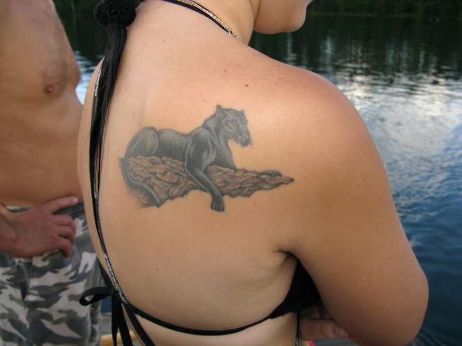 PRODIVING CLUB CMAS** практическое занятие в Авроровце PRODIVING CLUB CMAS** практическое занятие в Авроровце