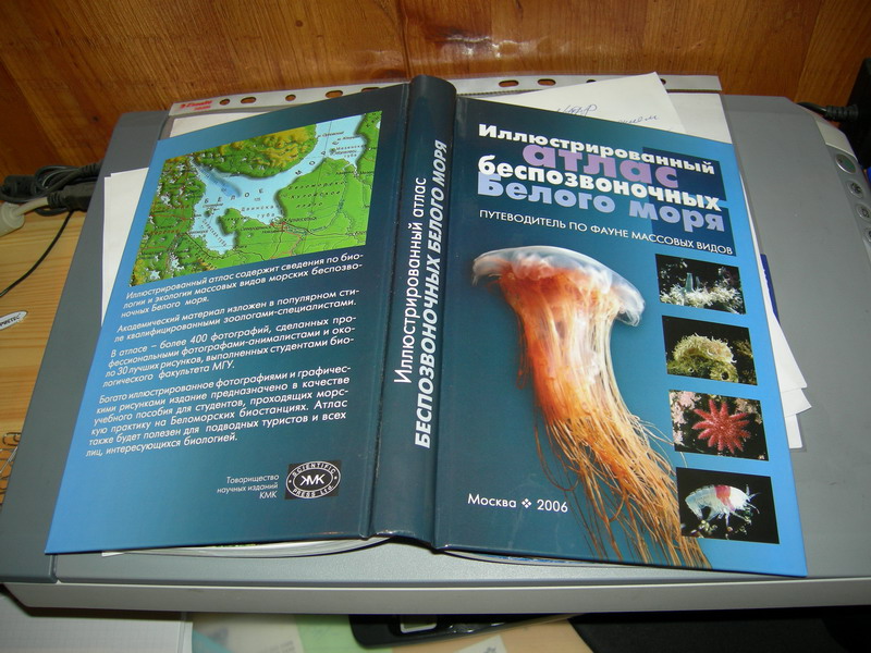 Иллюстрированный атлас беспозвоночных Белого моря. Иллюстрированный атлас беспозвоночных Белого моря.