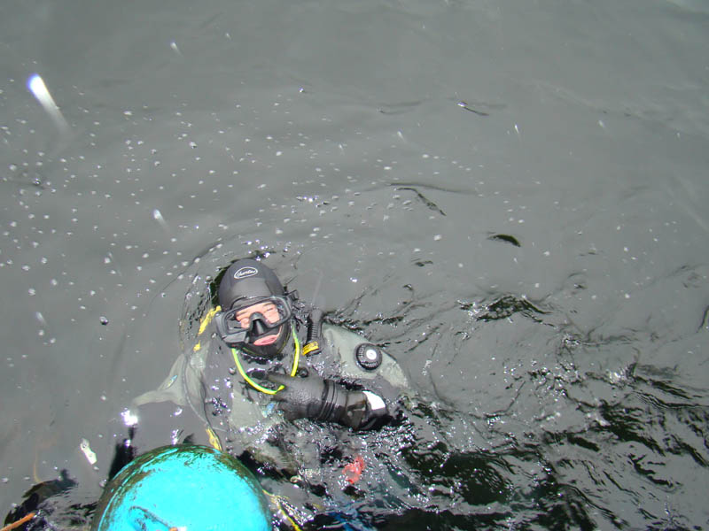 Дайвинг Дайвинг