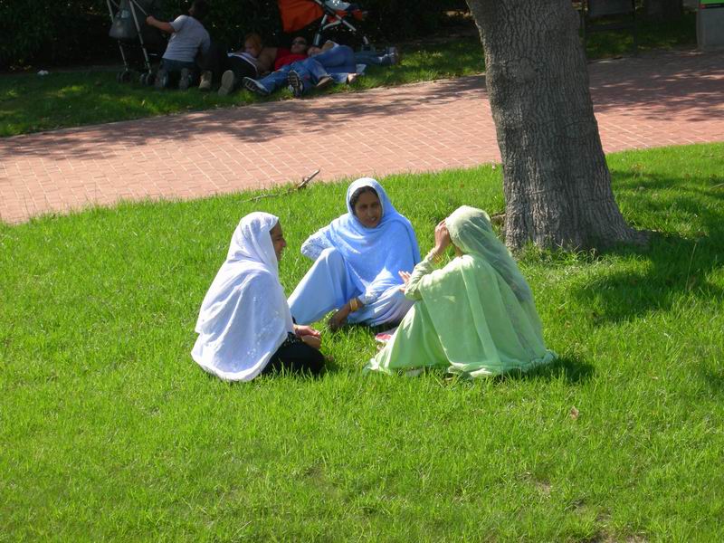 Испания. Острова Медес (Вести с полей). 23.09. - 1.10.2008 Испания. Острова Медес (Вести с полей). 23.09. - 1.10.2008