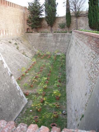 Испания. Острова Медес (Вести с полей). 23.09. - 1.10.2008 Испания. Острова Медес (Вести с полей). 23.09. - 1.10.2008