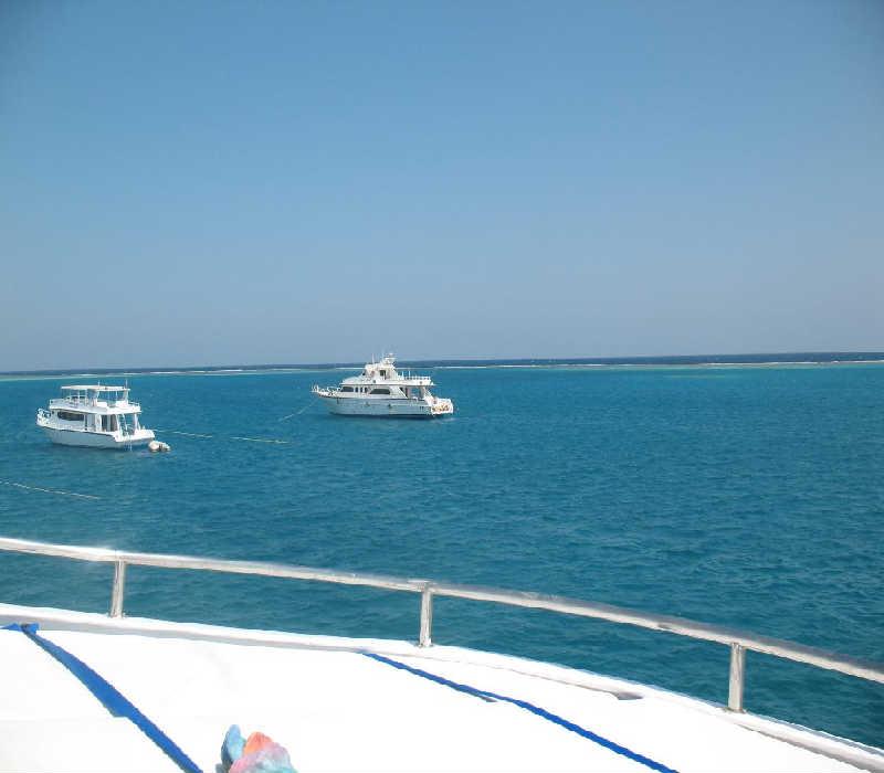 Египет 11-18 окт 2008 Египет 11-18 окт 2008