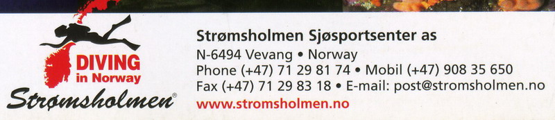 Адрес Олафа. Адрес Олафа.