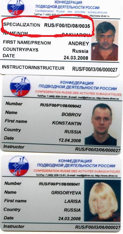 карточки карточки