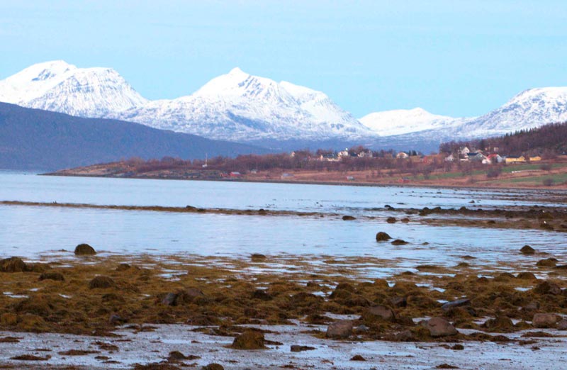 Нарвик (6-10.11.08) Нарвик (6-10.11.08)