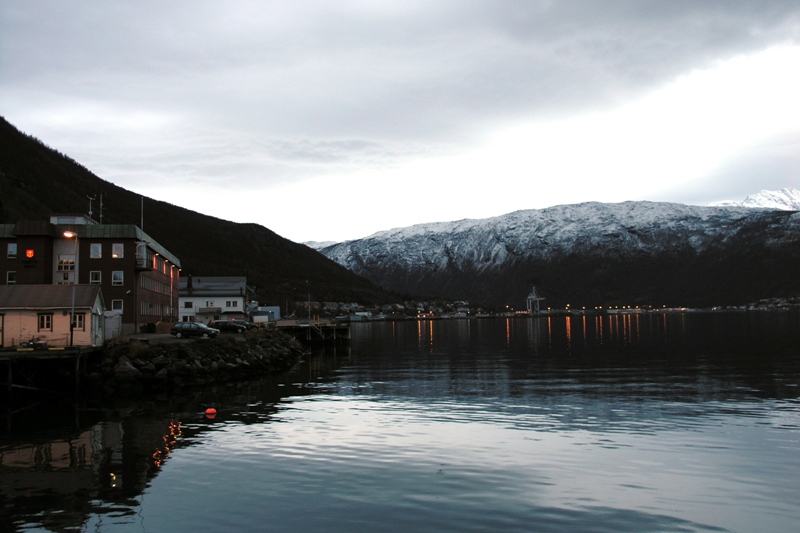 Нарвик (6-10.11.08) Нарвик (6-10.11.08)