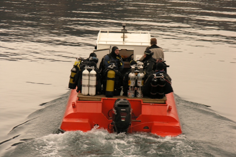 Нарвик (6-10.11.08) Нарвик (6-10.11.08)