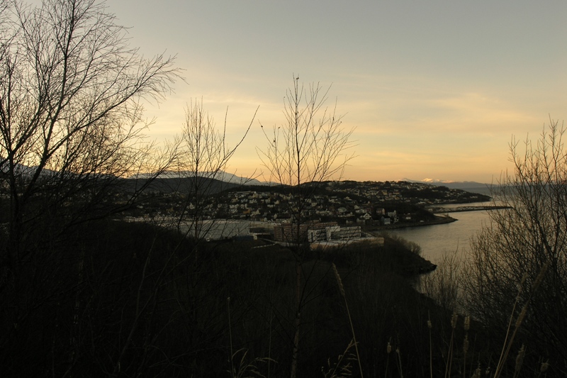 Нарвик (6-10.11.08) Нарвик (6-10.11.08)