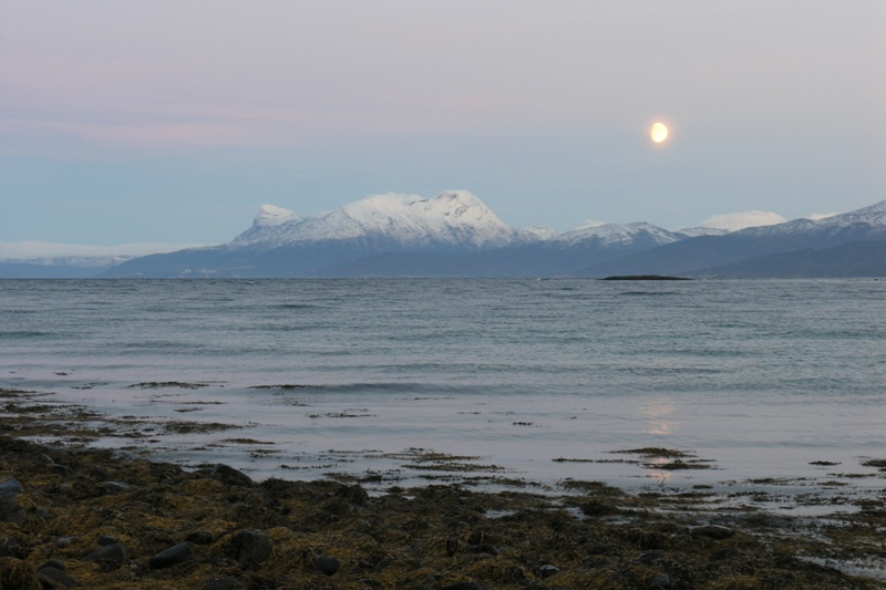 Нарвик (6-10.11.08) Нарвик (6-10.11.08)