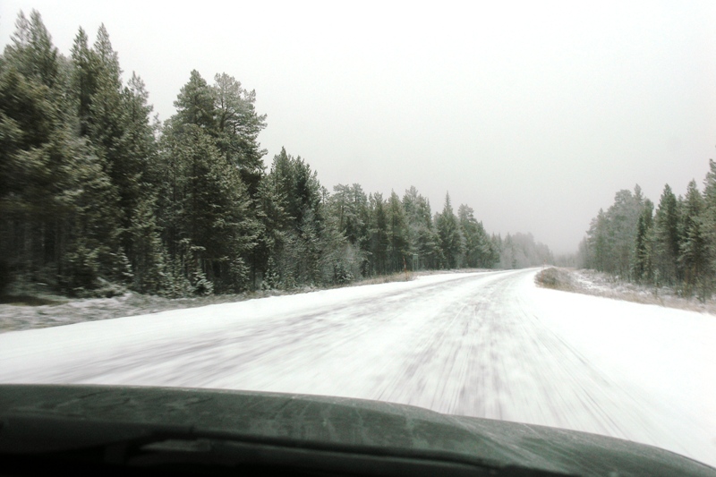 Нарвик (6-10.11.08) Нарвик (6-10.11.08)