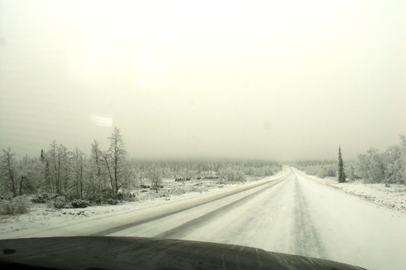 Нарвик (6-10.11.08) Нарвик (6-10.11.08)