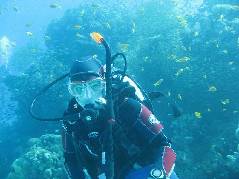 Эйлат(Израиль) декабрь 2008 Эйлат(Израиль) декабрь 2008