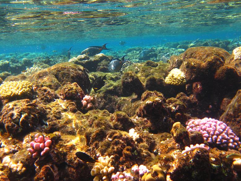 красивенько :) красивенько :)