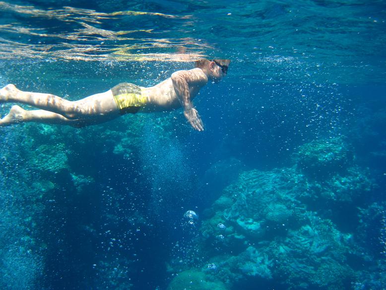 Пал Палыч тренируется :) Пал Палыч тренируется :)