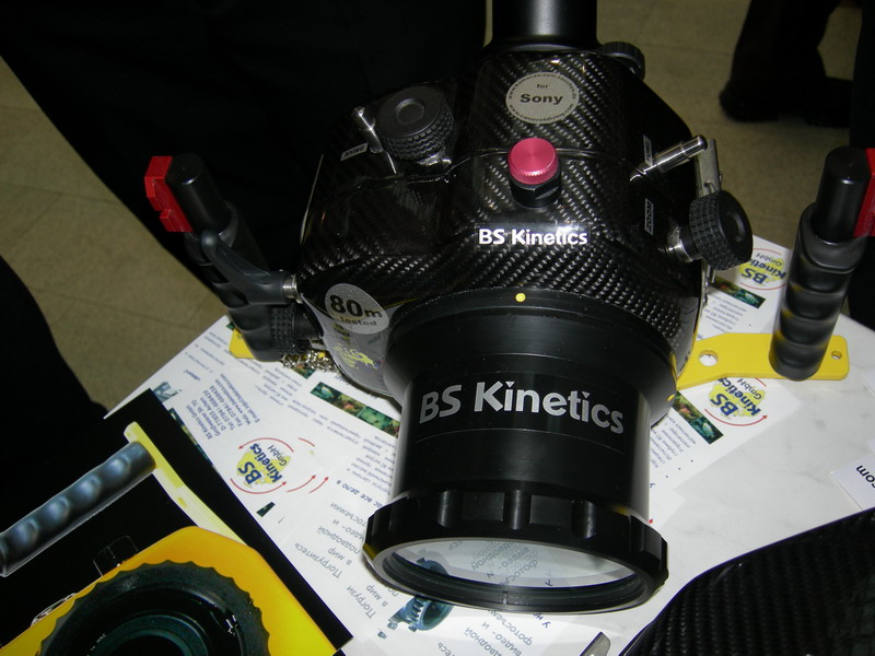 Золотой дельфин 2007 Золотой дельфин 2007