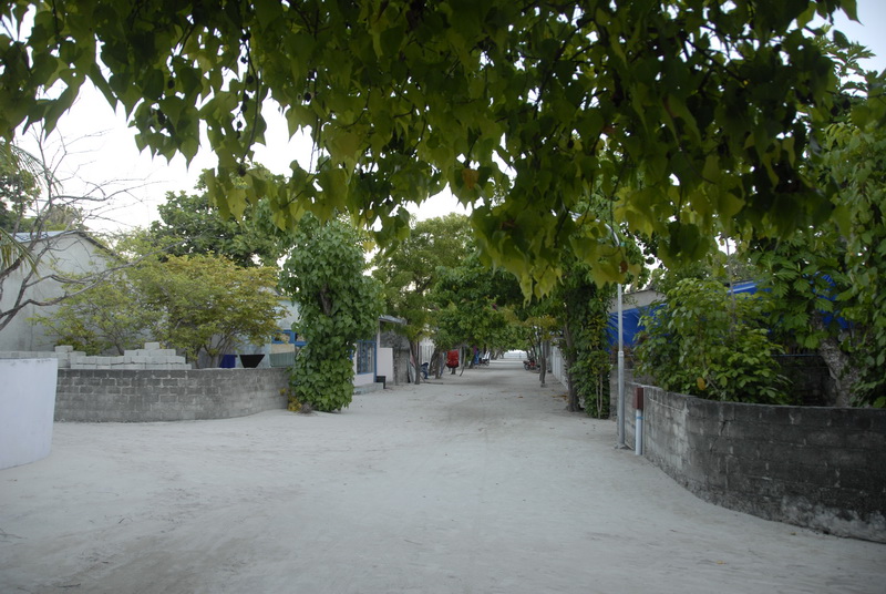 на острове есть деревня на острове есть деревня