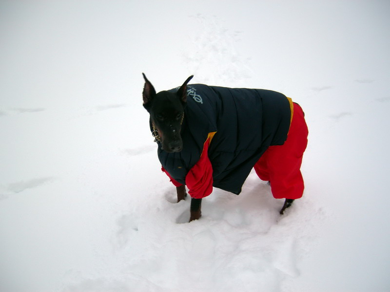 Рускеала 23-24-25 января 2009 г. Рускеала 23-24-25 января 2009 г.