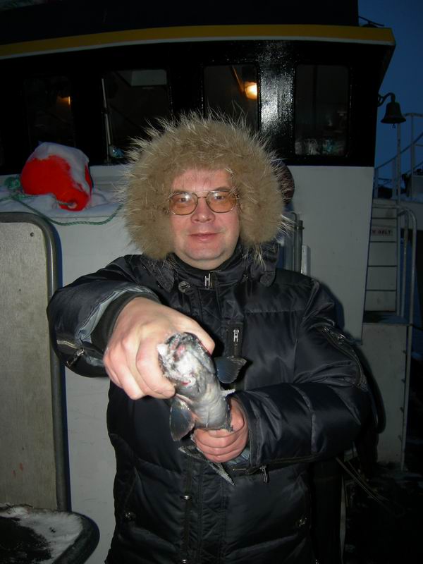 Нарвик. Минисафари (21-22-23 февраля2009). Нарвик. Минисафари (21-22-23 февраля2009).