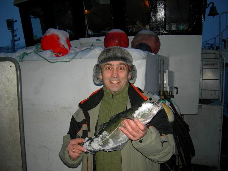 Нарвик. Минисафари (21-22-23 февраля2009). Нарвик. Минисафари (21-22-23 февраля2009).