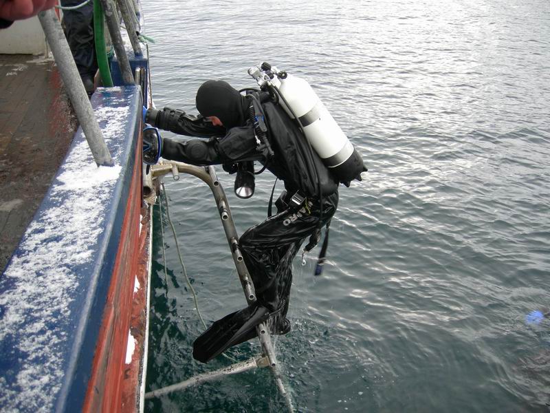 Нарвик. Минисафари (21-22-23 февраля2009). Нарвик. Минисафари (21-22-23 февраля2009).