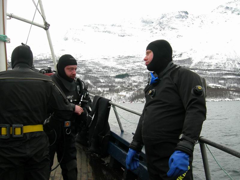 Нарвик. Минисафари (21-22-23 февраля2009). Нарвик. Минисафари (21-22-23 февраля2009).