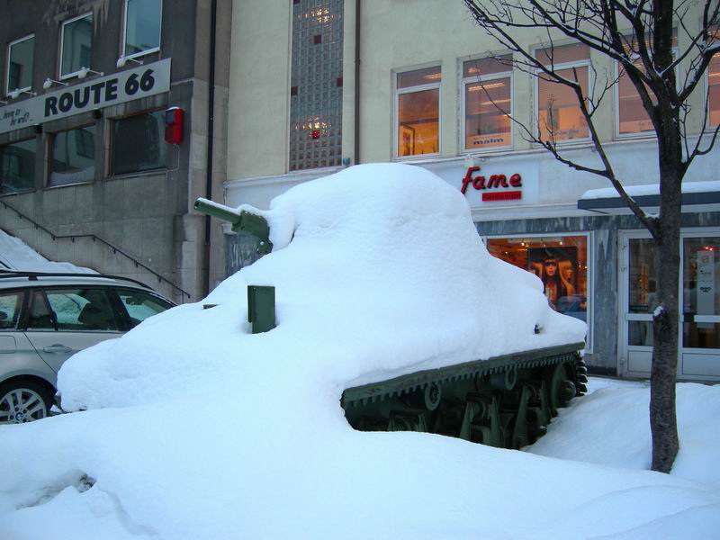 Нарвик. Минисафари (21-22-23 февраля2009). Нарвик. Минисафари (21-22-23 февраля2009).