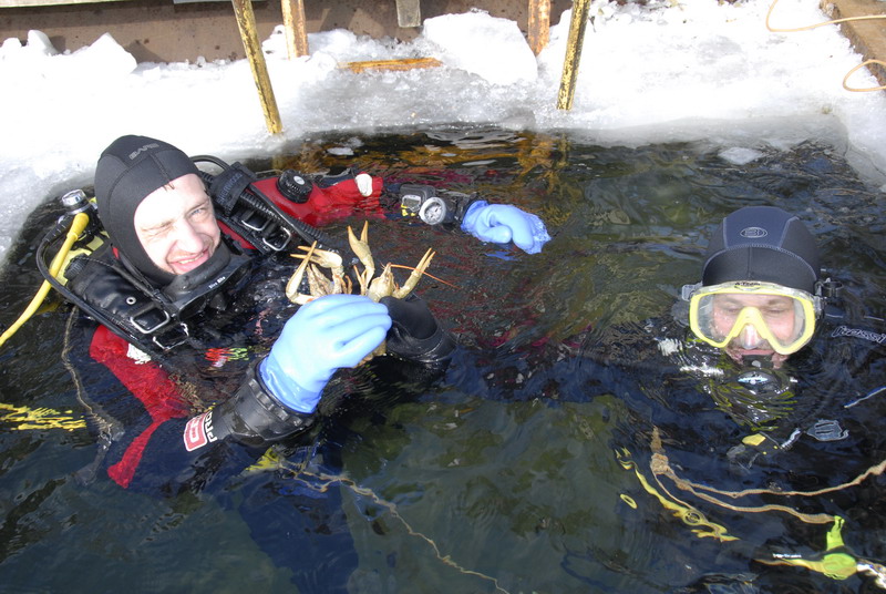 Семиозерье март 2009 Семиозерье март 2009