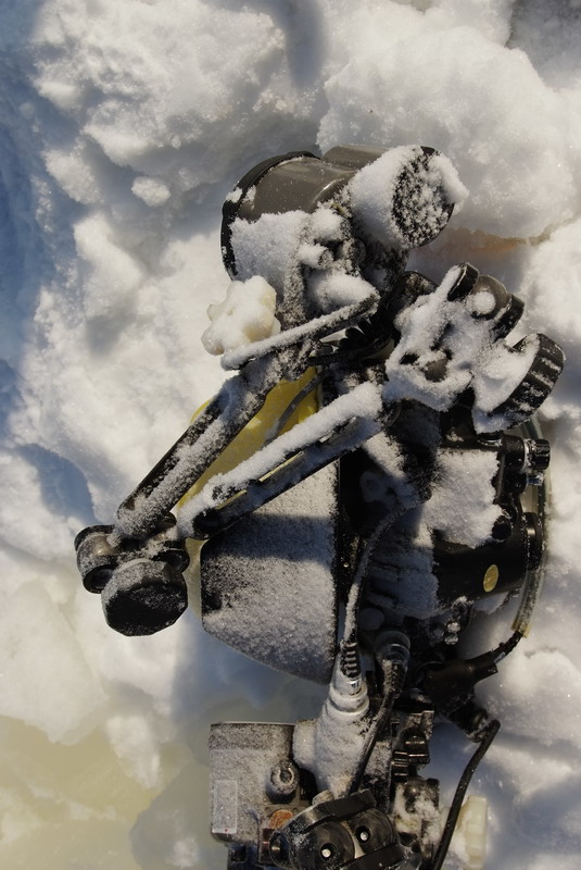 Белое море. Март 2009 г. (фото М.Ведехина). Белое море. Март 2009 г. (фото М.Ведехина).