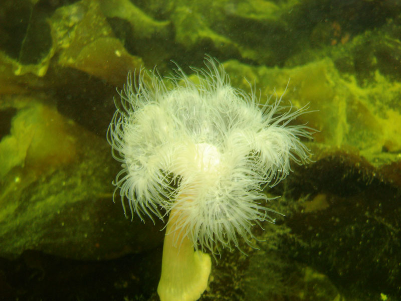 Белое море 2.08.06-7.08.06 Белое море 2.08.06-7.08.06