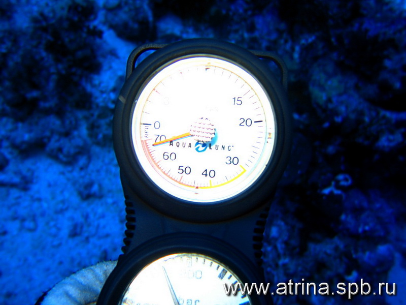 Эльфин Эльфин