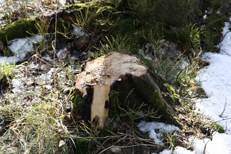 ЖК (4.04.09) ЖК (4.04.09)