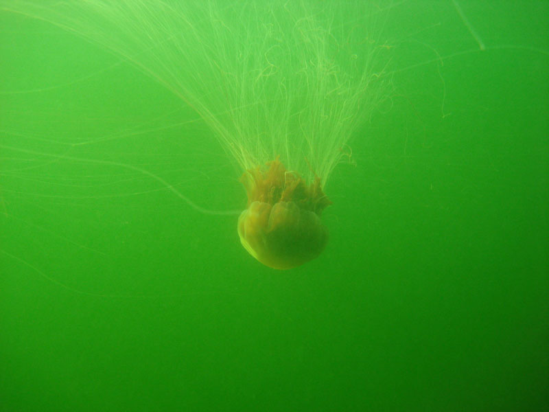 Белое море 2.08.06-7.08.06 Белое море 2.08.06-7.08.06