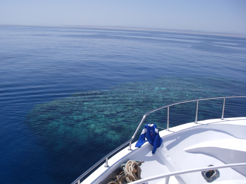 Красное море - 2009 Красное море - 2009