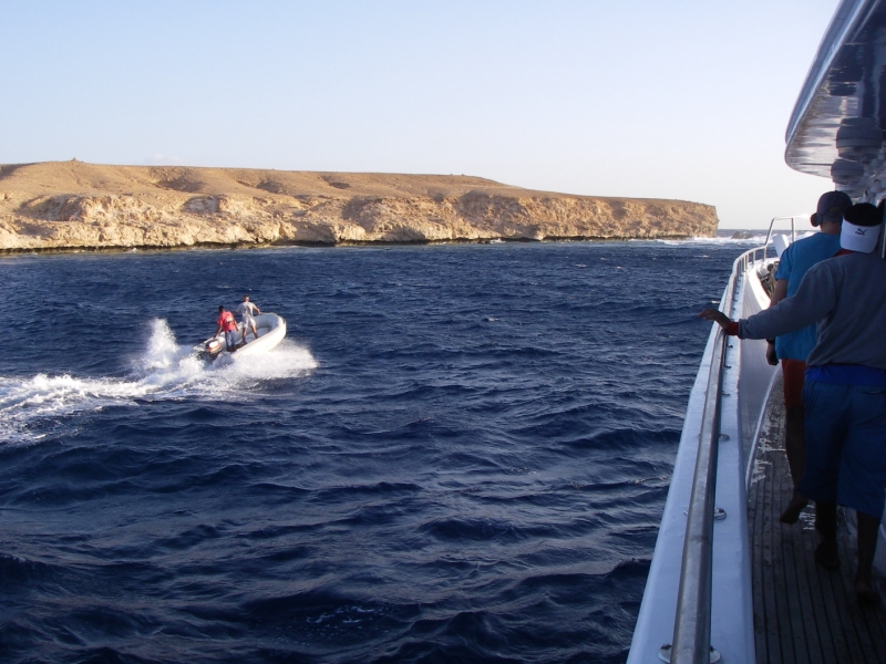 Красное море - 2009 Красное море - 2009