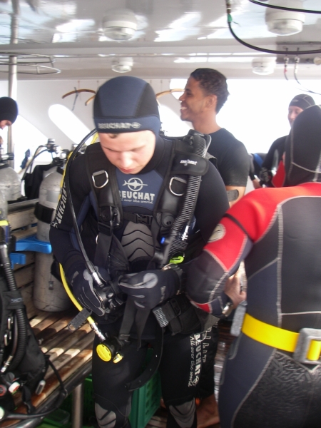 Красное море - 2009 Красное море - 2009