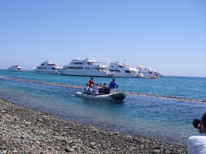 Красное море - 2009 Красное море - 2009