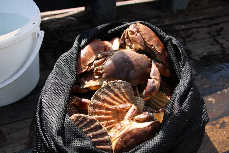 Норвегия 29.04.09-10.05.09 (Fedje-Flora-Fedje). Норвегия 29.04.09-10.05.09 (Fedje-Flora-Fedje).