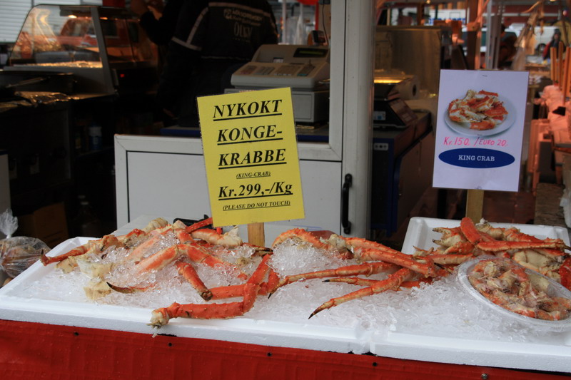 Норвегия 29.04.09-10.05.09 (Fedje-Flora-Fedje). Норвегия 29.04.09-10.05.09 (Fedje-Flora-Fedje).