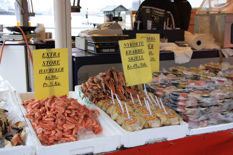 Норвегия 29.04.09-10.05.09 (Fedje-Flora-Fedje). Норвегия 29.04.09-10.05.09 (Fedje-Flora-Fedje).