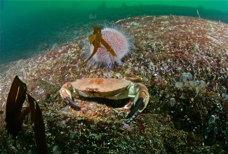 Где-то в Северном море... Где-то в Северном море...